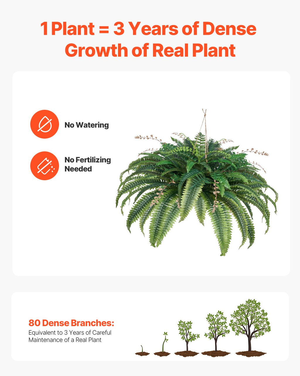 Promotional graphic of a plant with text about its benefits on a white background