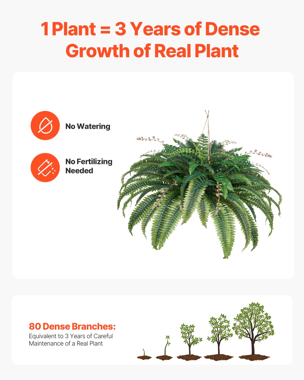 Promotional graphic of a plant with text about its benefits on a white background
