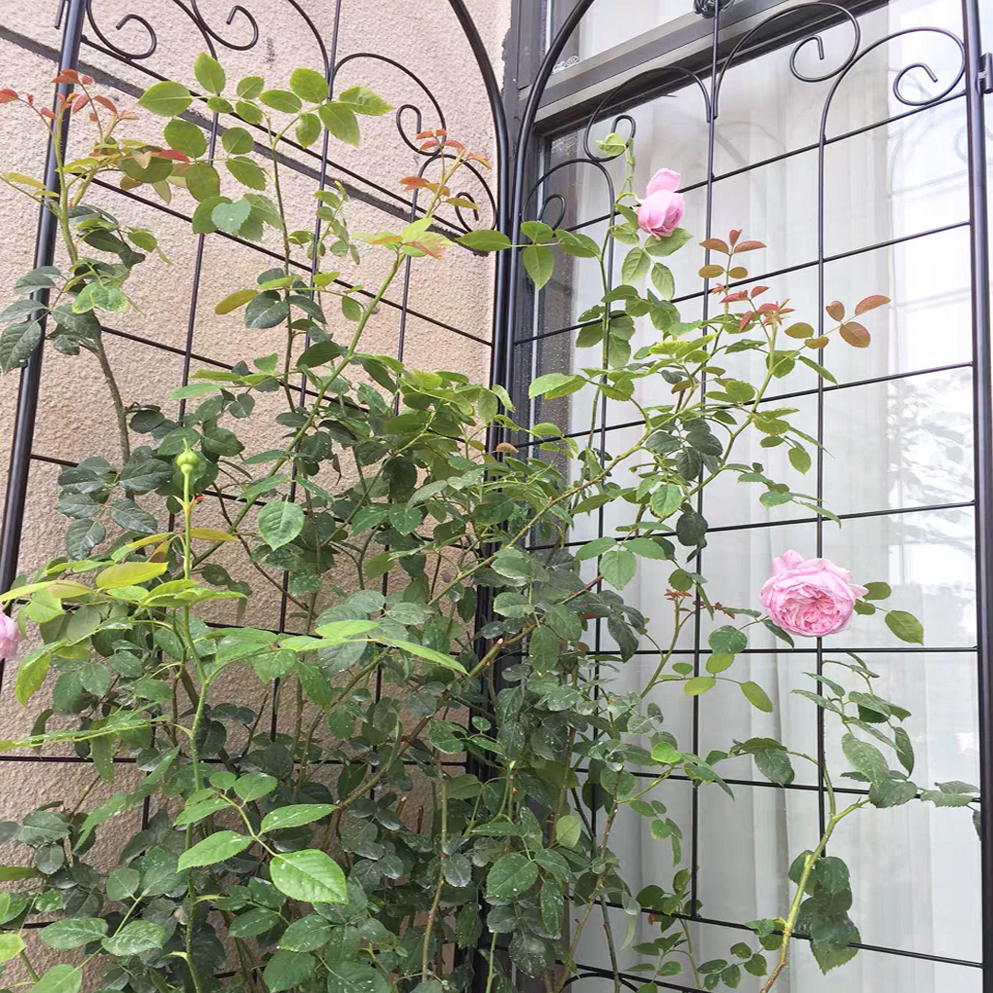 78381233d4b553f9f6a84ddc98f9bd71